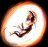Avatar for Audio Child