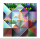 Avatar for Zyzygis